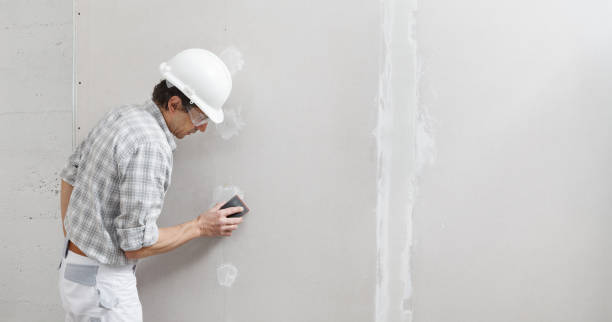 Reliable Dilley, TX Mold Removal Solutions